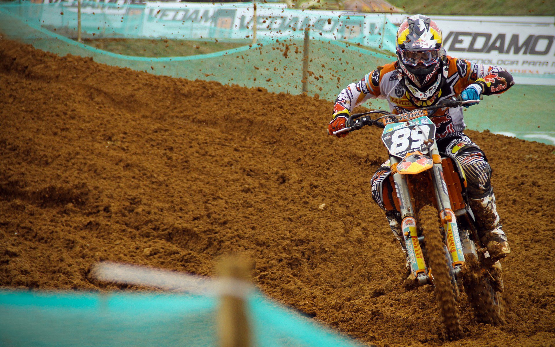 中国游泳队闪耀世锦赛，斩获多枚金牌创历史佳绩