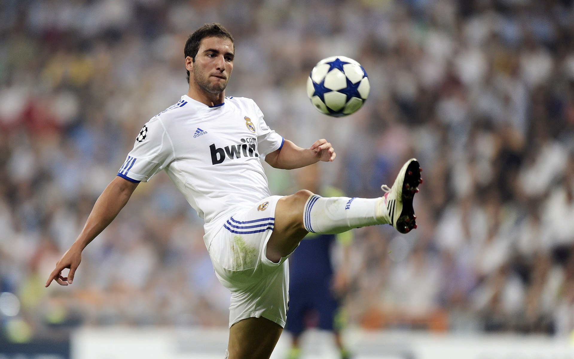 纳达尔法网夺冠 成就第14座大满贯传奇【b体育app】