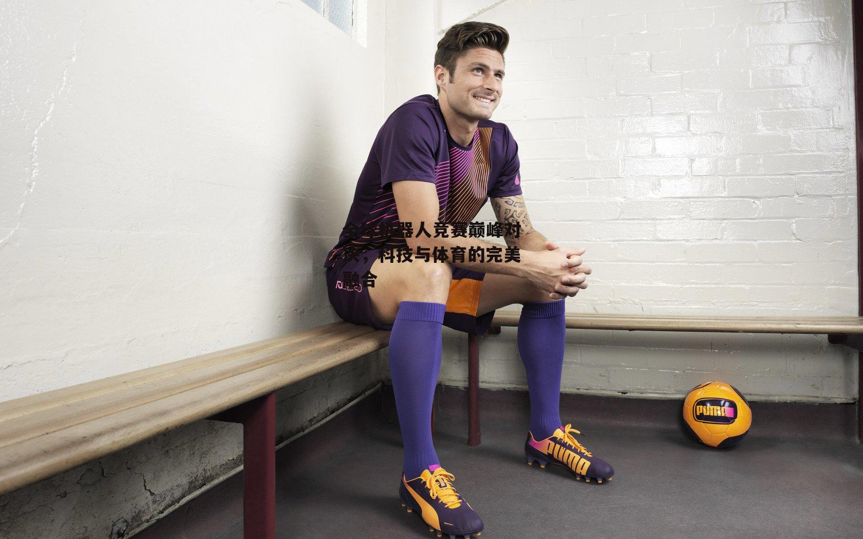 全球机器人竞赛巅峰对决，科技与体育的完美融合【b体育官网】